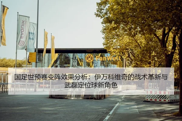 guo-zu-shi-yu-sai-bian-zhen-xiao-guo-fen-xi-yi-wan-ke-wei-qi-de-zhan-shu-ge-xin-yu-wu-lei-ding-wei-qiu-xin-jue-se-2-376.jpg