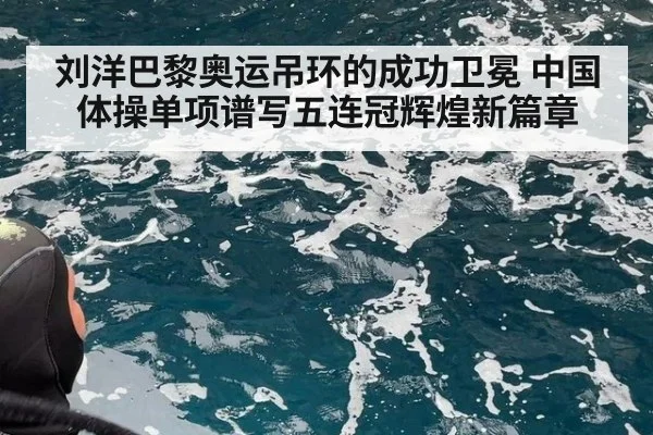 刘洋巴黎奥运吊环的成功卫冕 中国体操单项谱写五连冠辉煌新篇章